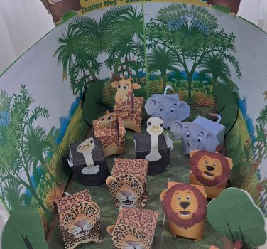 Jungla clasei a IV-a D