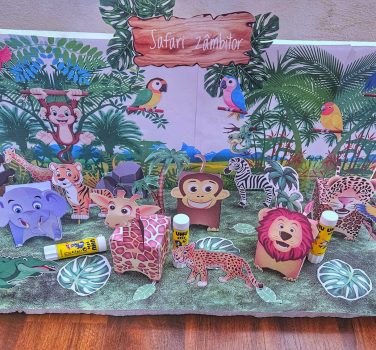 SAFARI ZÂMBITOR 🤍