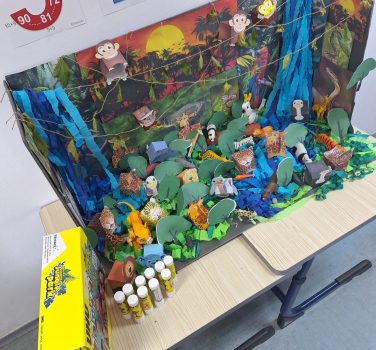 LUMEA MIRACULOASĂ A JUNGLEI