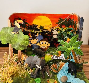 Jungla în clasa mea