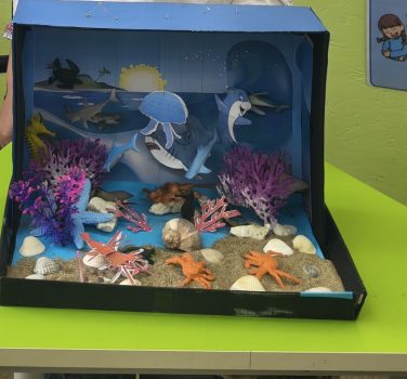 Oceanul din clasa mea
