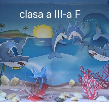 Oceanul Cercetasilor