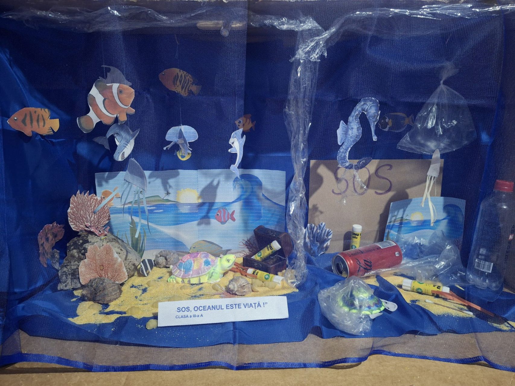 Oceanul este viață!