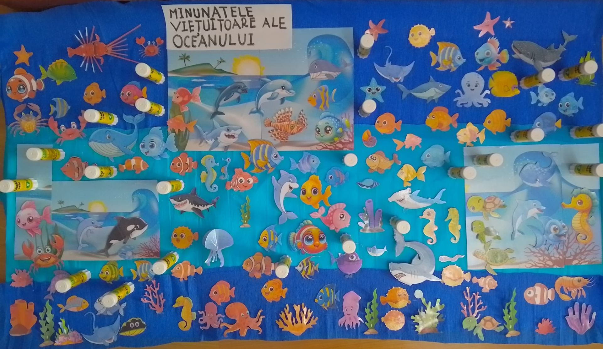 Minunatele Viețuitoare Ale Oceanului