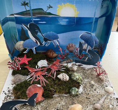 Oceanul, prietenul meu