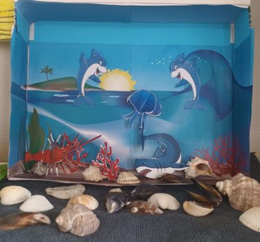 Lumea oceanelor