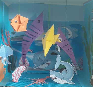 Acvariul clasei nostre