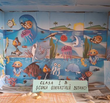 Exploratori în lumea fantastică a oceanului
