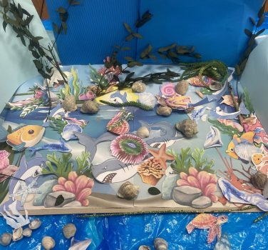 🌊MISTERELE ADÂNCULUI 🐋🐟