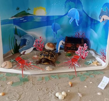 Oceanul culorilor