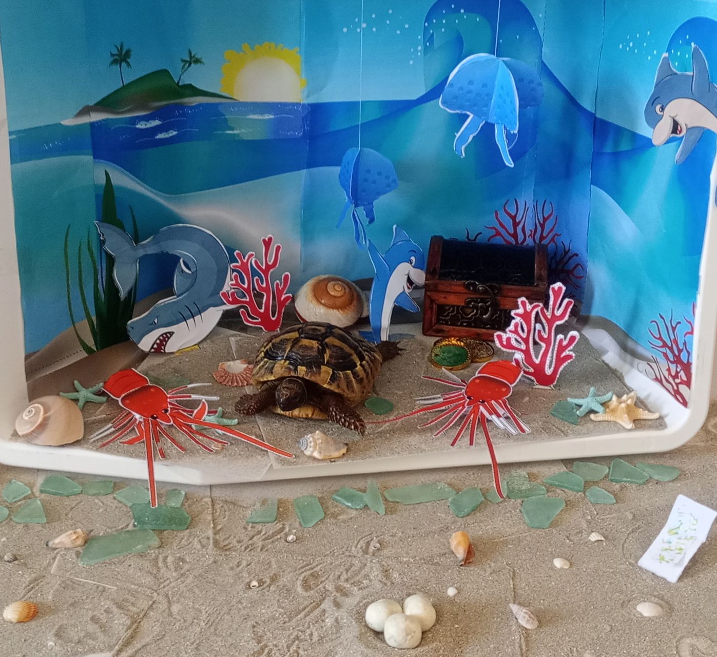 Oceanul culorilor
