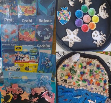 Steluțele explorează secretele biodiveristății marine