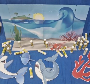 Oceanul din Grupa Buburuzelor
