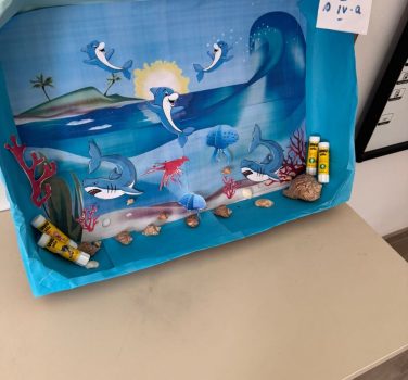 Micii exploratori ai oceanului
