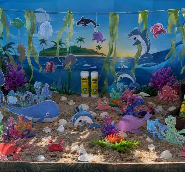 ✨🐬🌊🐠🪸🐚Aventură în adâncurile mării ✨🐬🌊🐠🪸🐚