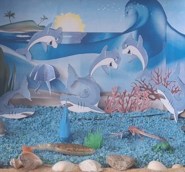 Comorile oceanului