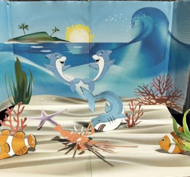 În Oceanul….Pacific!