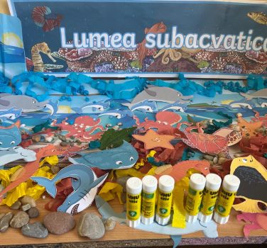 O lume subacvatică